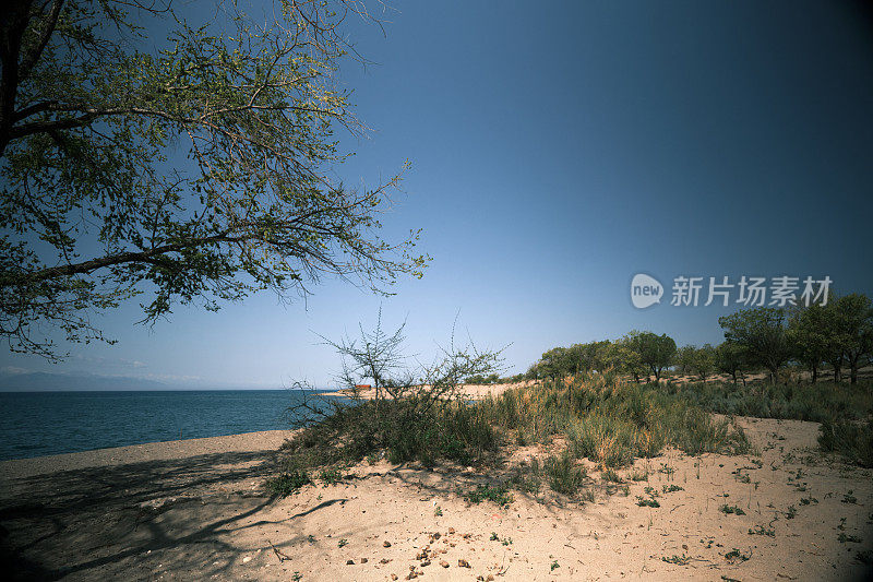 Clear sky above the tropical lake